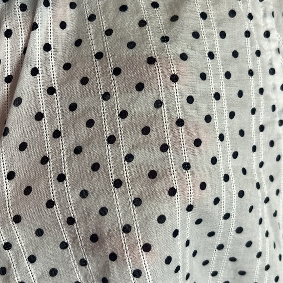 Foxcroft Semi-Sheer Polka Dot Button Down Size 2 - Picture 5 of 5